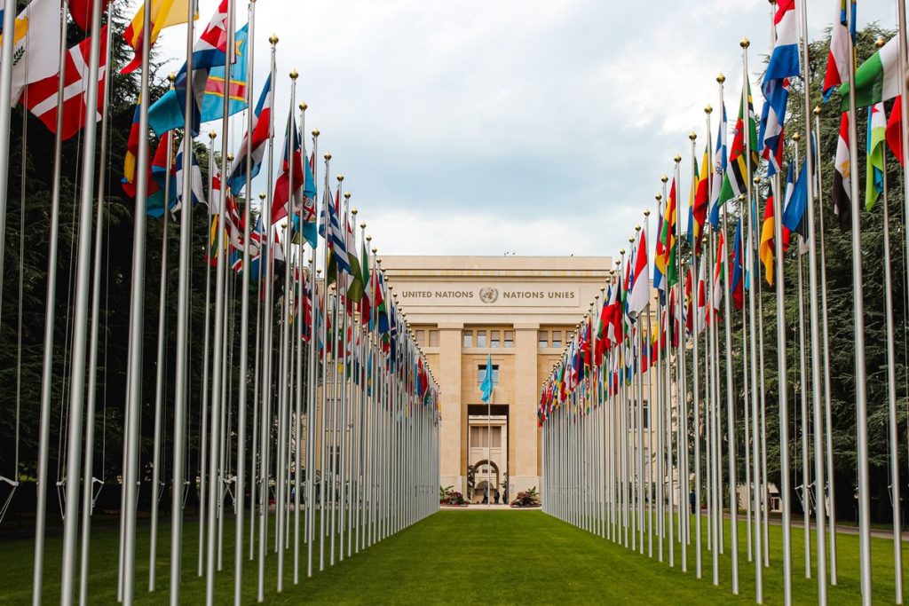 Flags of UN member countries. Photo: Mathias P.R. Reding / Unsplash.